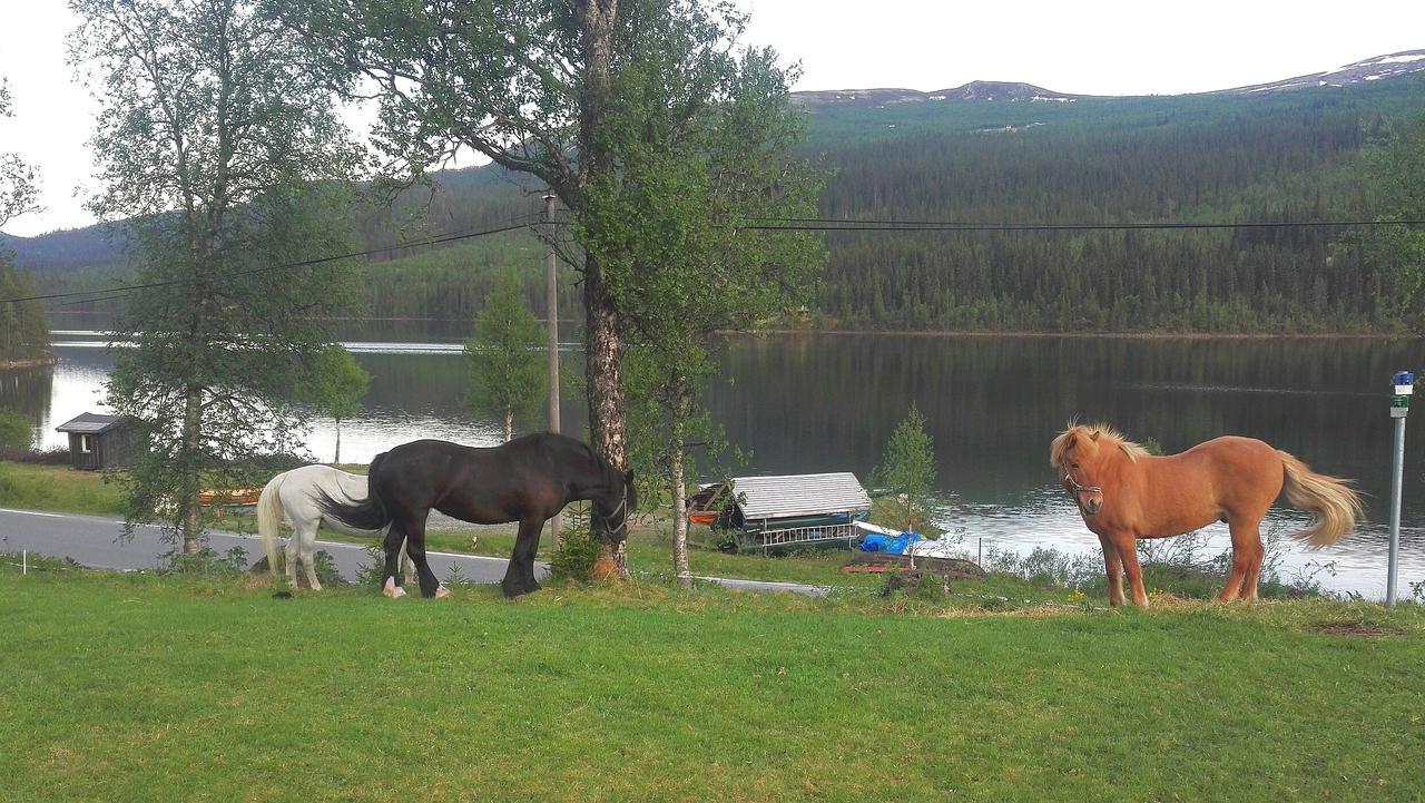 Strand Fjellstue Otel Espedalen Dış mekan fotoğraf